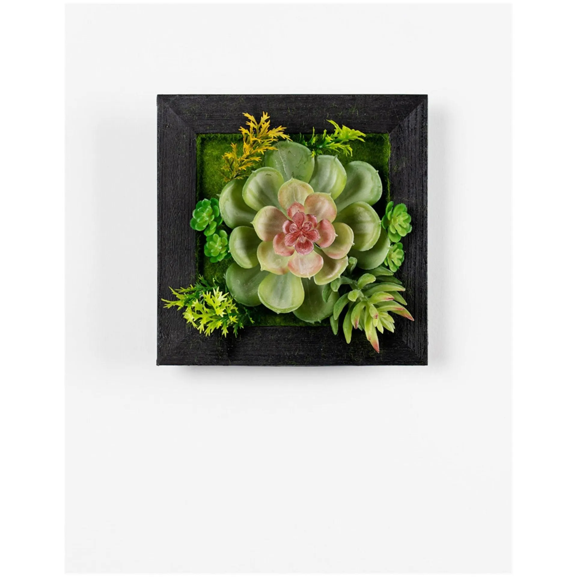 Hanging Succulent Box Wall Décor, Set of 6