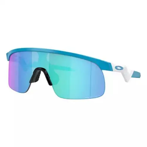 Oakley Youth Resistor Sunglasses