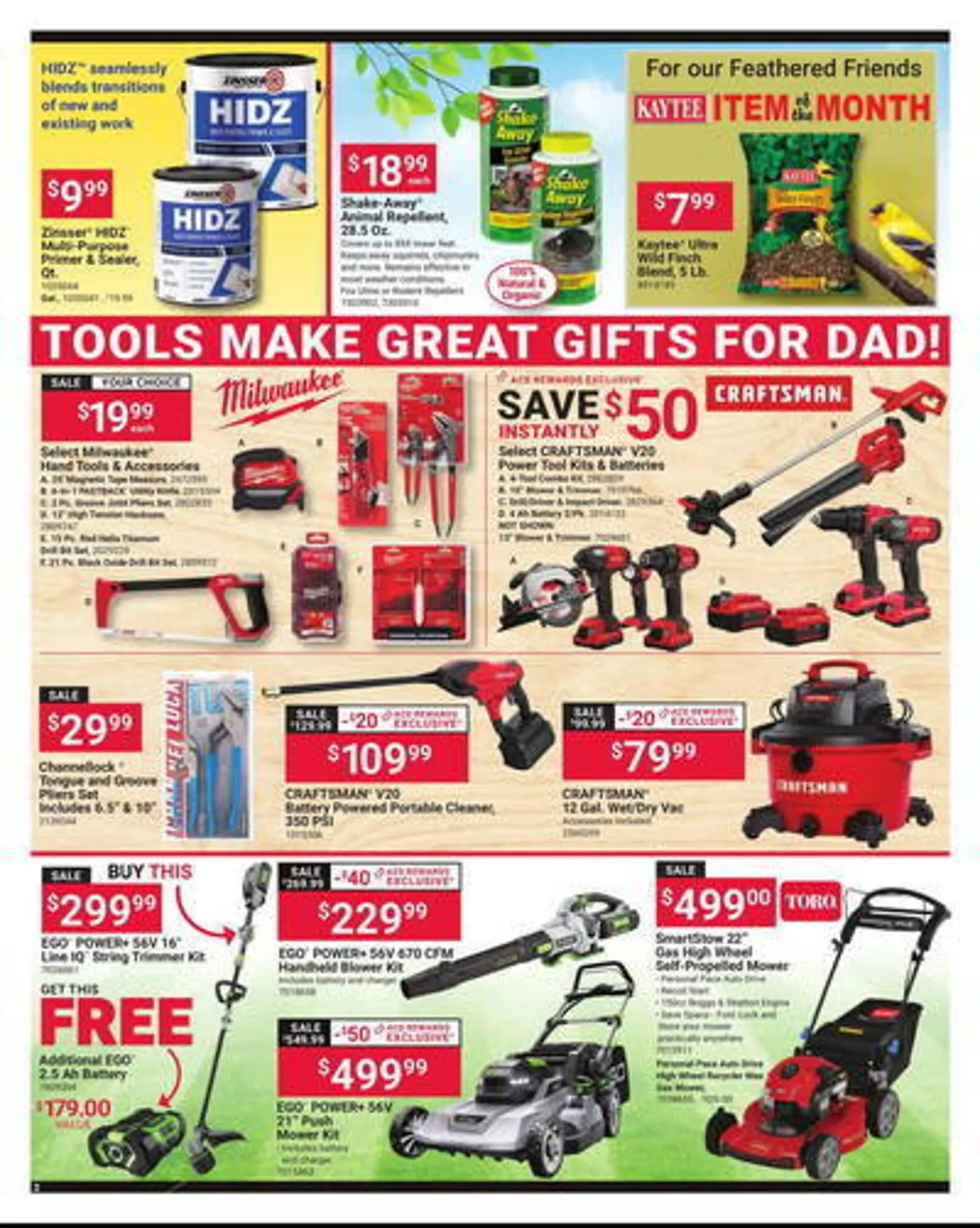 Weekly ad Ace Hardware Weekly Ad from June 10 to June 23 2025 - Page 2
