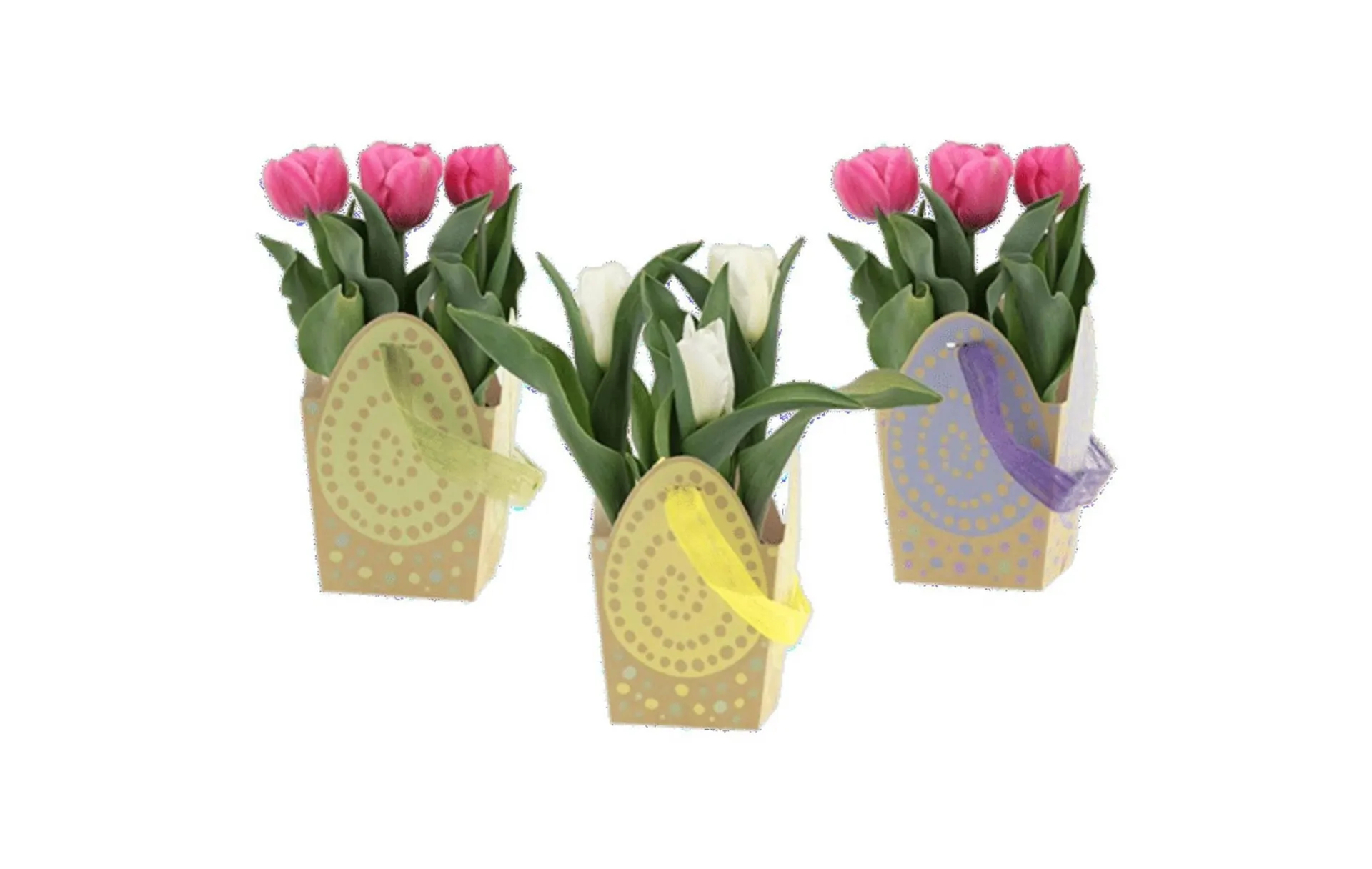 Weekly ad Northgate Market weekly ad from April 5 to April 5 2026 - Page 53