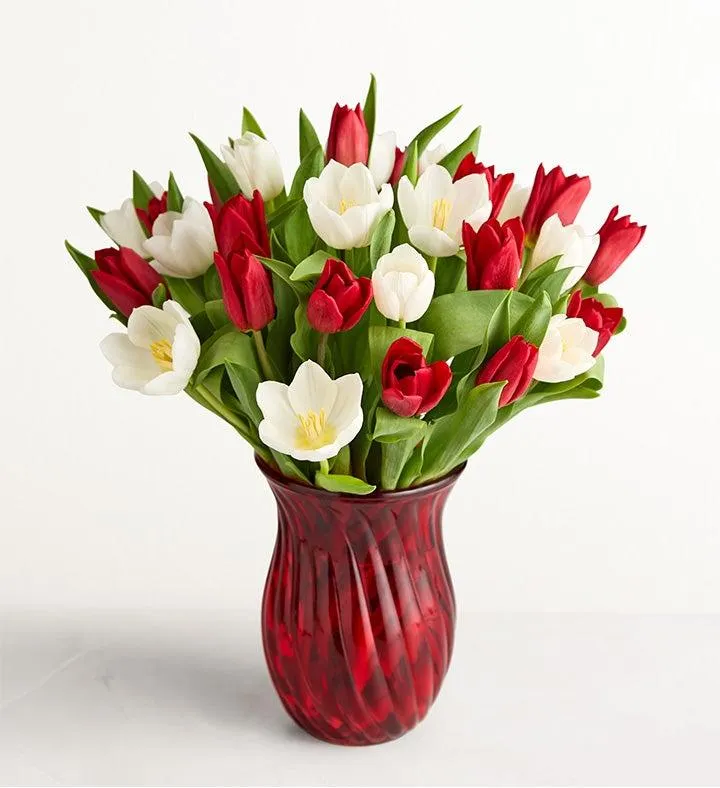 Holiday Tulips™