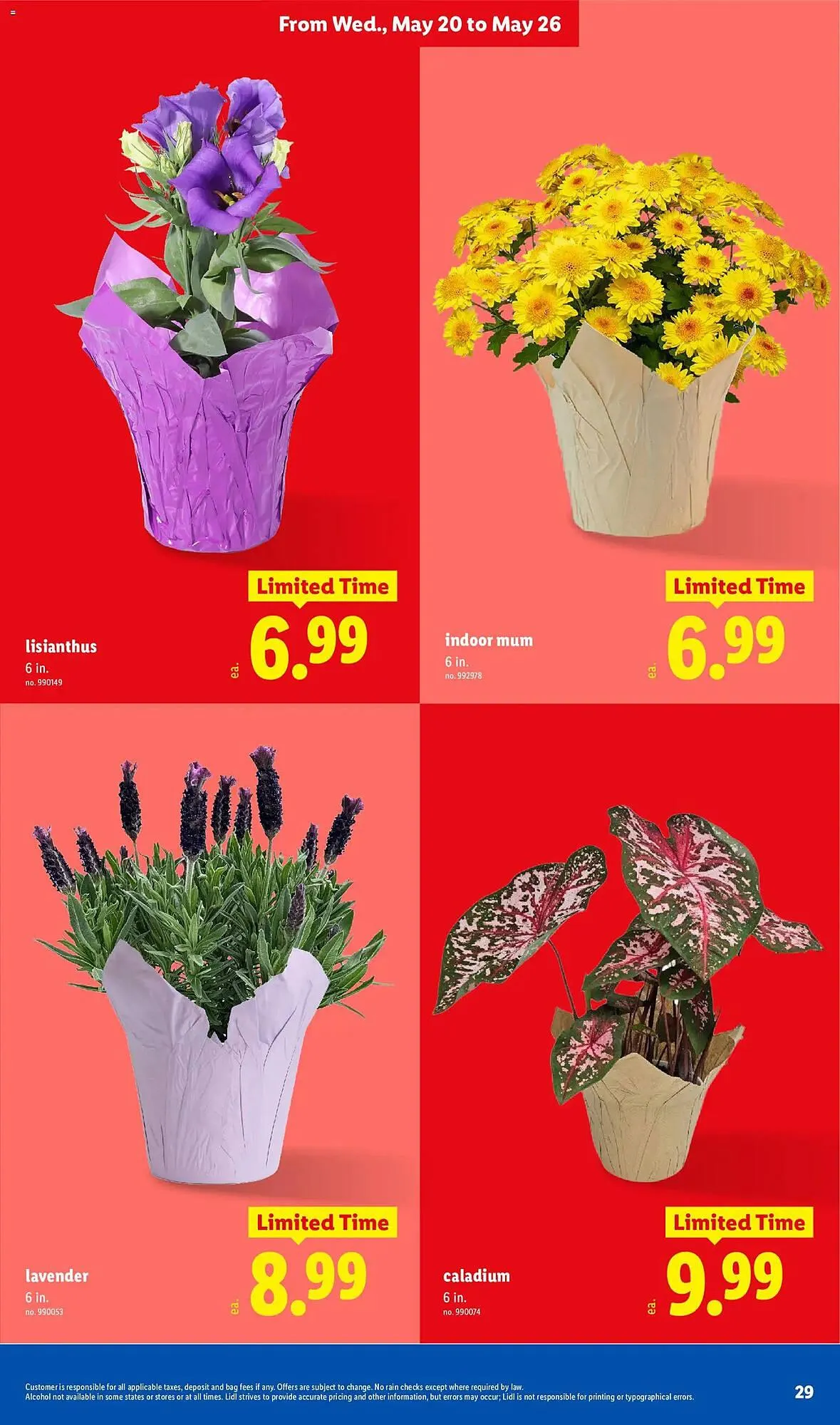 Weekly ad Lidl weekly ad from May 20 to May 26 2026 - Page 29