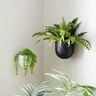 Ceramic Indoor/Outdoor Wallscape Planters
