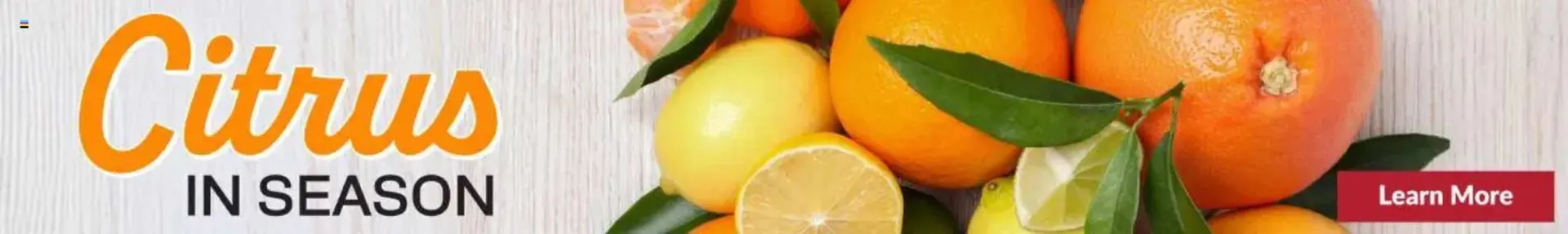 Weekly ad Big Y flyer from December 11 to December 18 2025 - Page 7