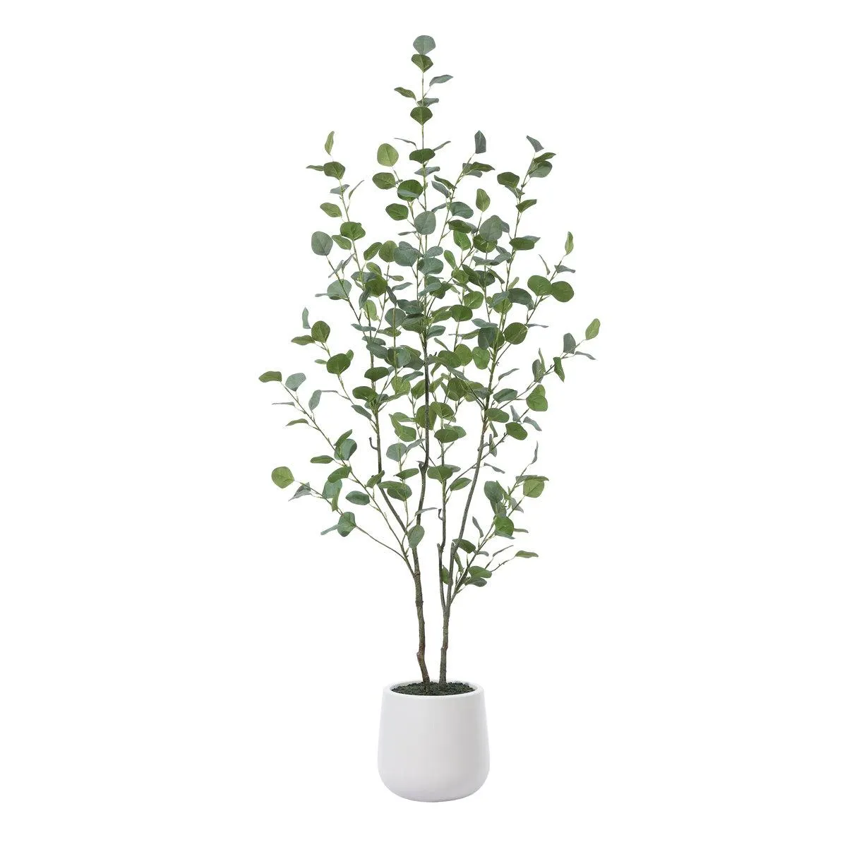 Adcock Faux Eucalyptus Tree with Oval White Planter, Pre Potted Artificial Eucalyptus Plant for Home Decor