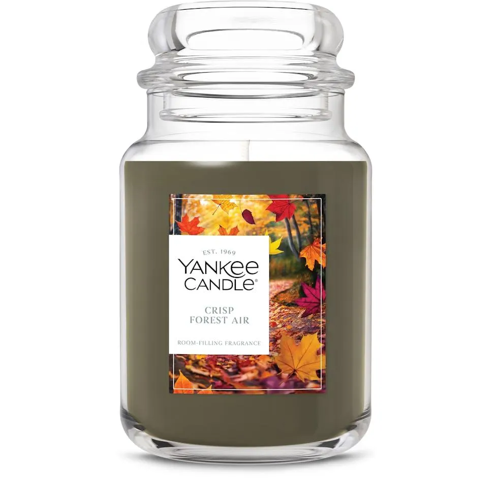 Crisp Forest Air