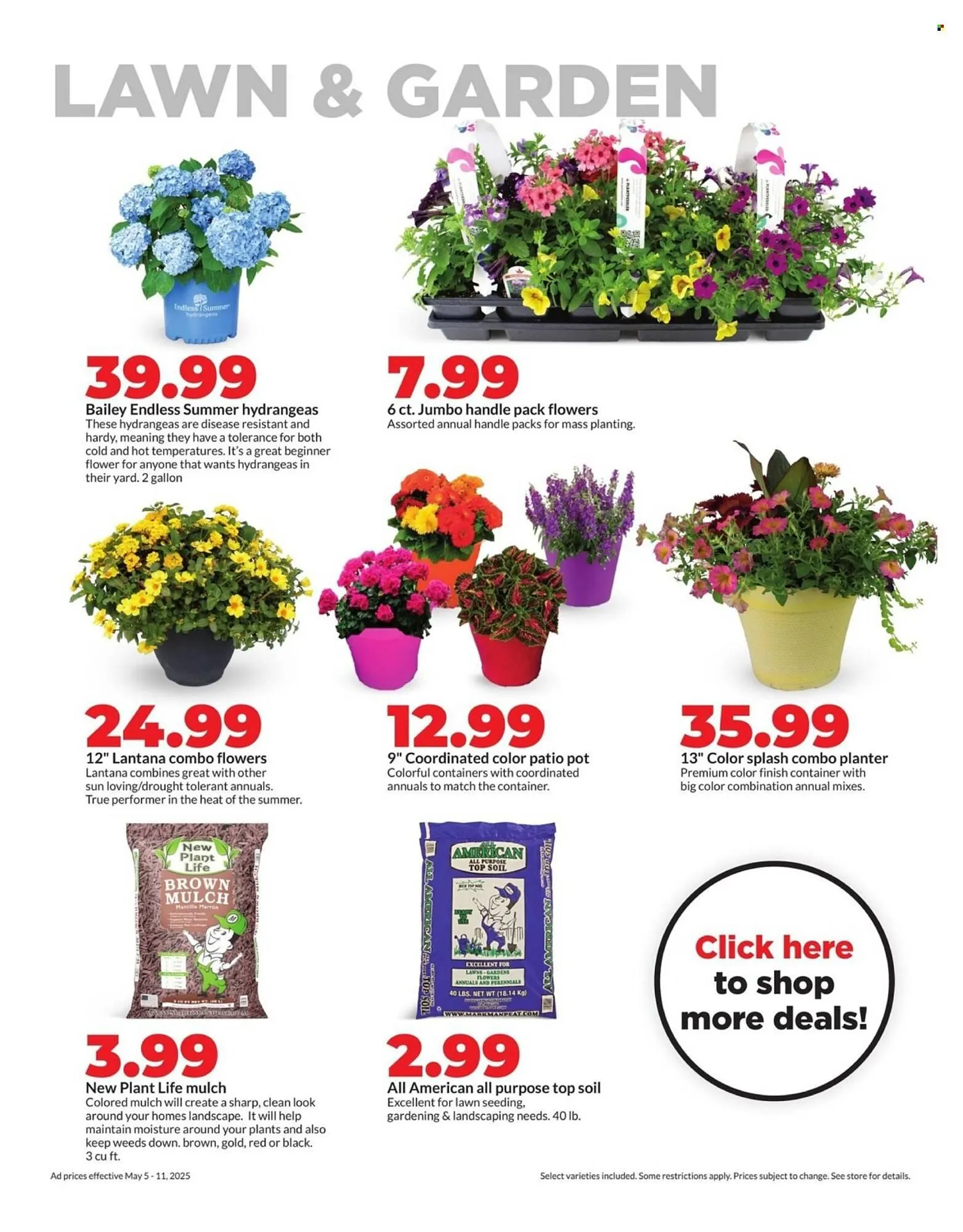 Weekly ad Hy-Vee Weekly Ad from May 5 to May 11 2025 - Page 31