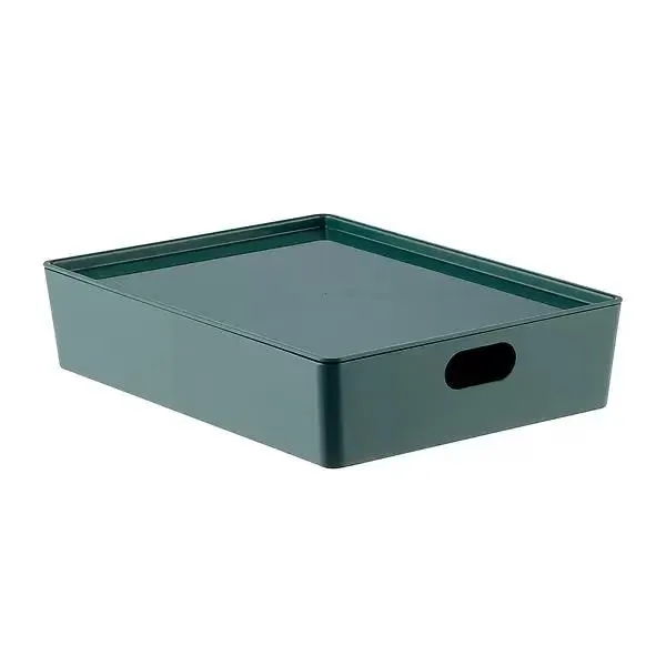 The Container Store Medium AllAround Plastic Box Green