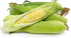 TRIMMED & TRAYED BI COLOR CORN 5CT P