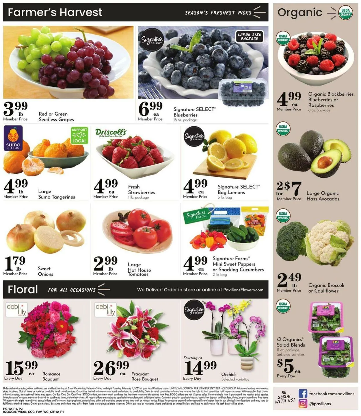 Weekly ad Pavilions from February 5 to February 11 2025 - Page 11