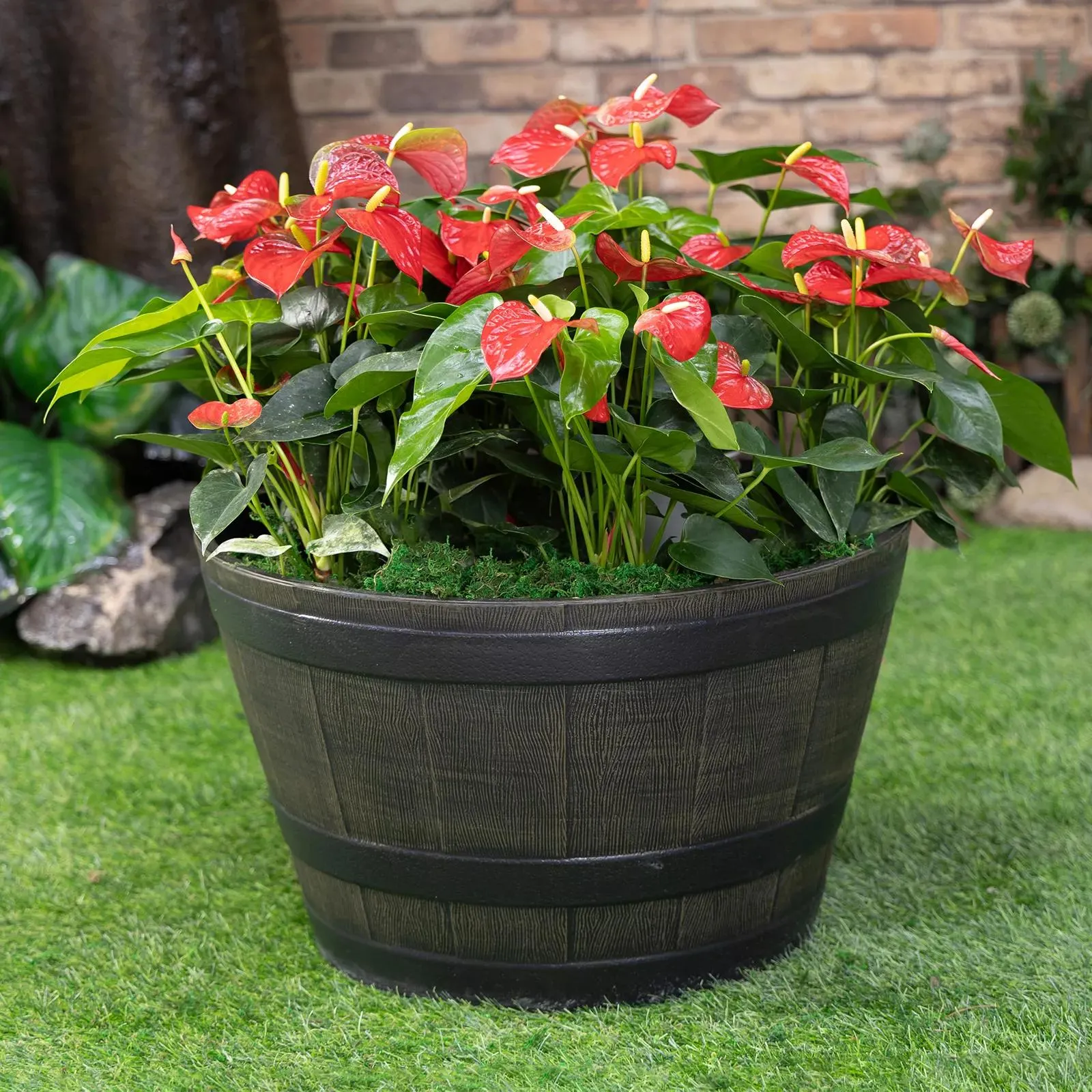 Berkley Jensen 22" Whisky Barrel Planter