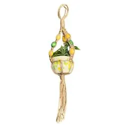 Mini Macrame Yellow and Green Hanging Plant