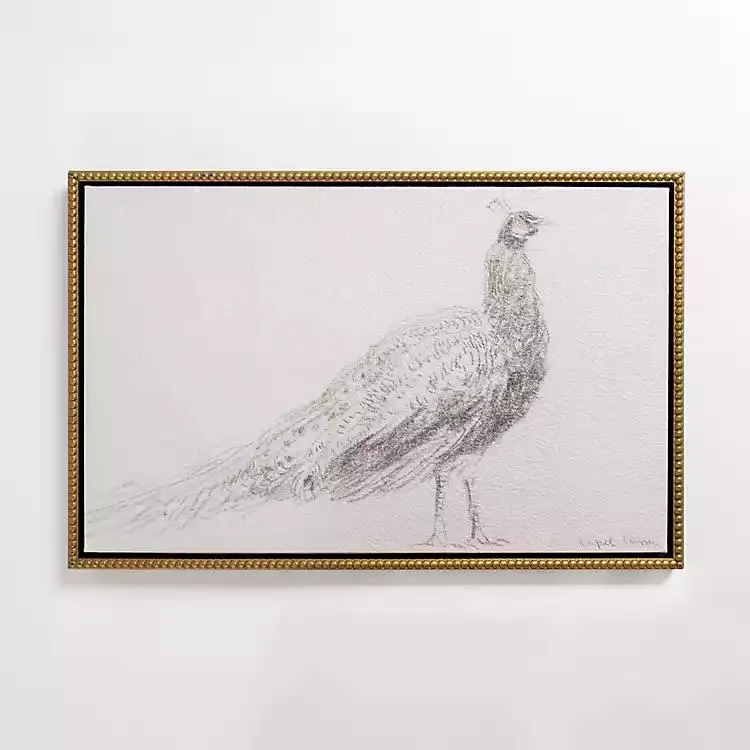 Peacock Sketch Framed Canvas Art Print