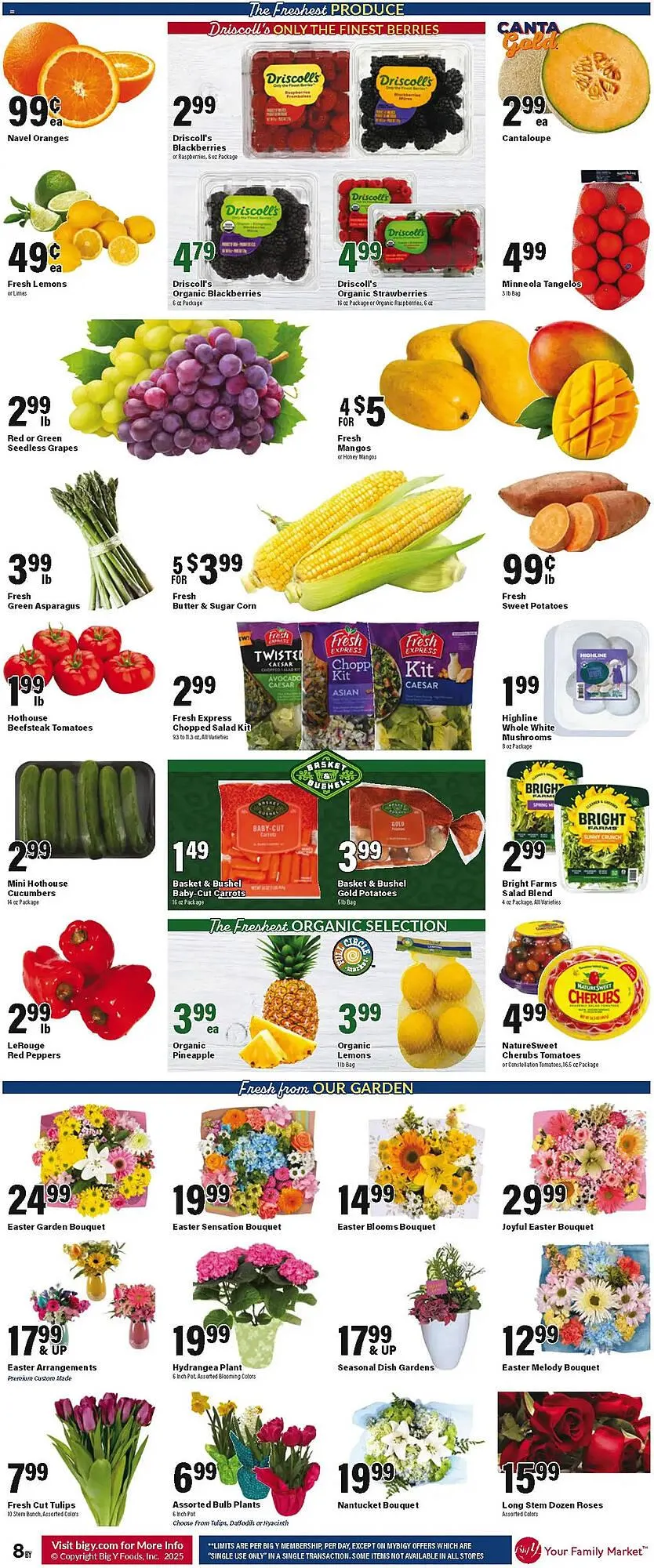 Weekly ad Big Y Weekly Ad from April 17 to April 23 2025 - Page 9