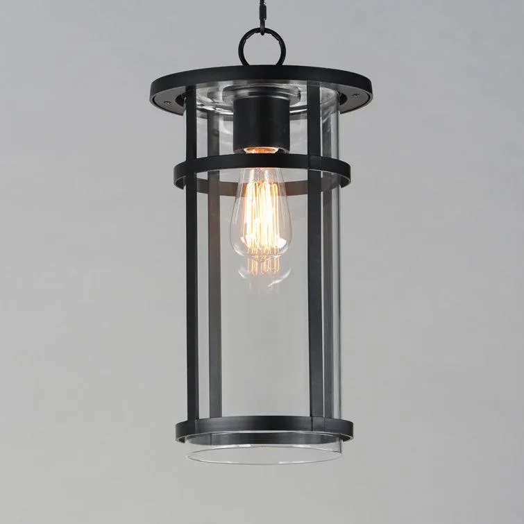 Audrick Transparent Outdoor Vivex Pendant