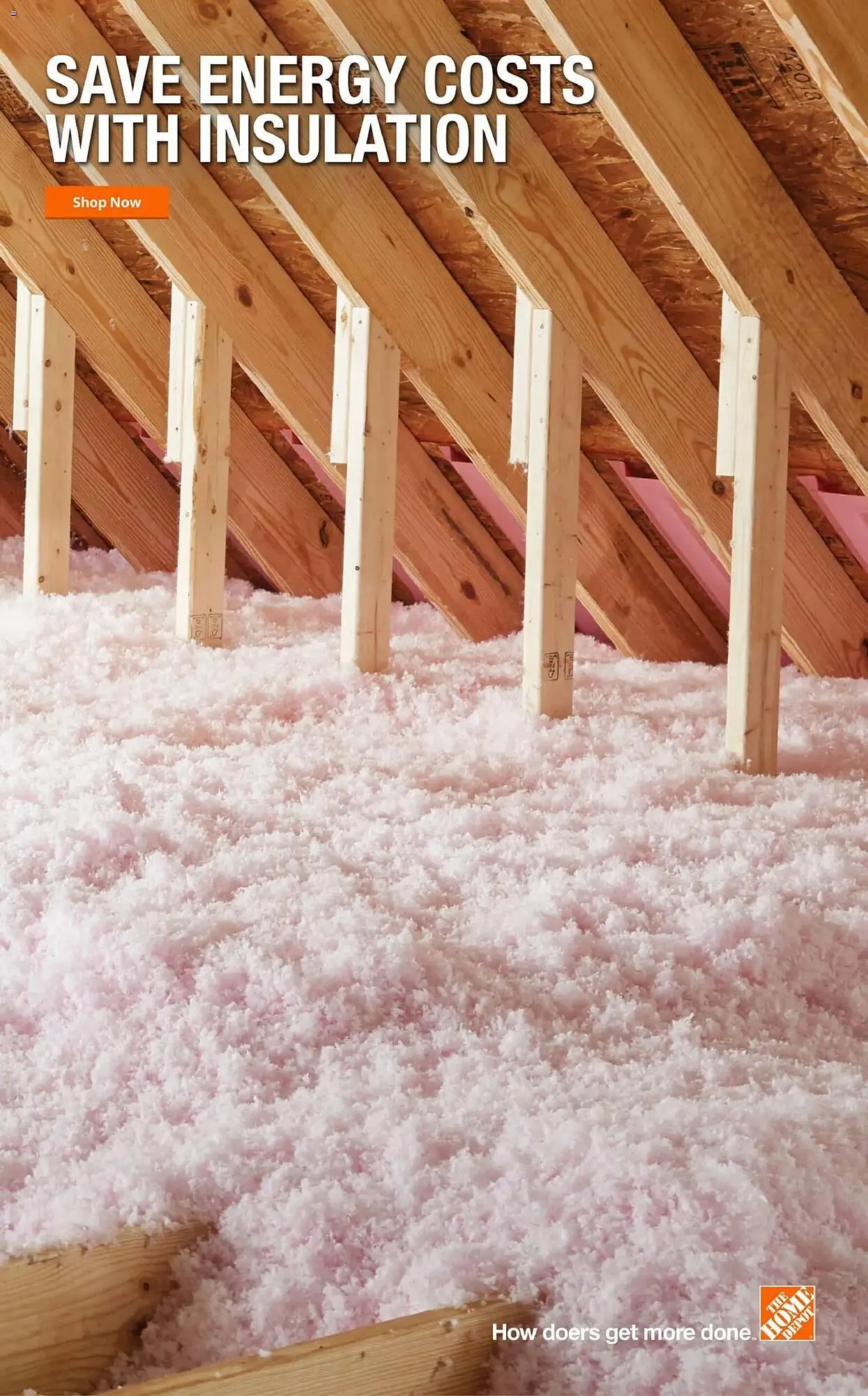 Weekly ad The Home Depot flyer from January 29 to February 6 2026 - Page 10