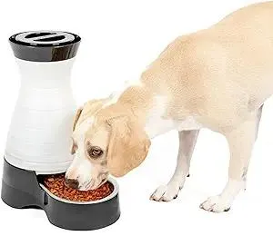 PetSafe Healthy Pet Food Station - Medium, 4 lb Kibble Capacity - Gravity Pet Feeder Dry Food Dispenser, Automatic Cat Feeder, Small to Medium Dog Feeder - Removable Stainless Steel Bowl Included