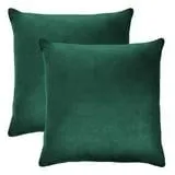 Member's Mark Dutch Velvet 2-Pack Decorative Pillows, 22" x 22"