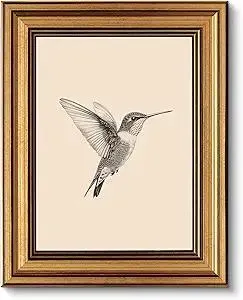 VIYYIEA Vintage Gold Framed Wall Art for Living Room, Birds Canvas Prints Home Decor, Sketch Painting Picture, Bedroom Wall Decor Gifts for Friends or Family -【Hummingbird】-(10L x 8W)