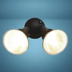 Patriot Lighting® Black Dual Head Outdoor Security Flood Light