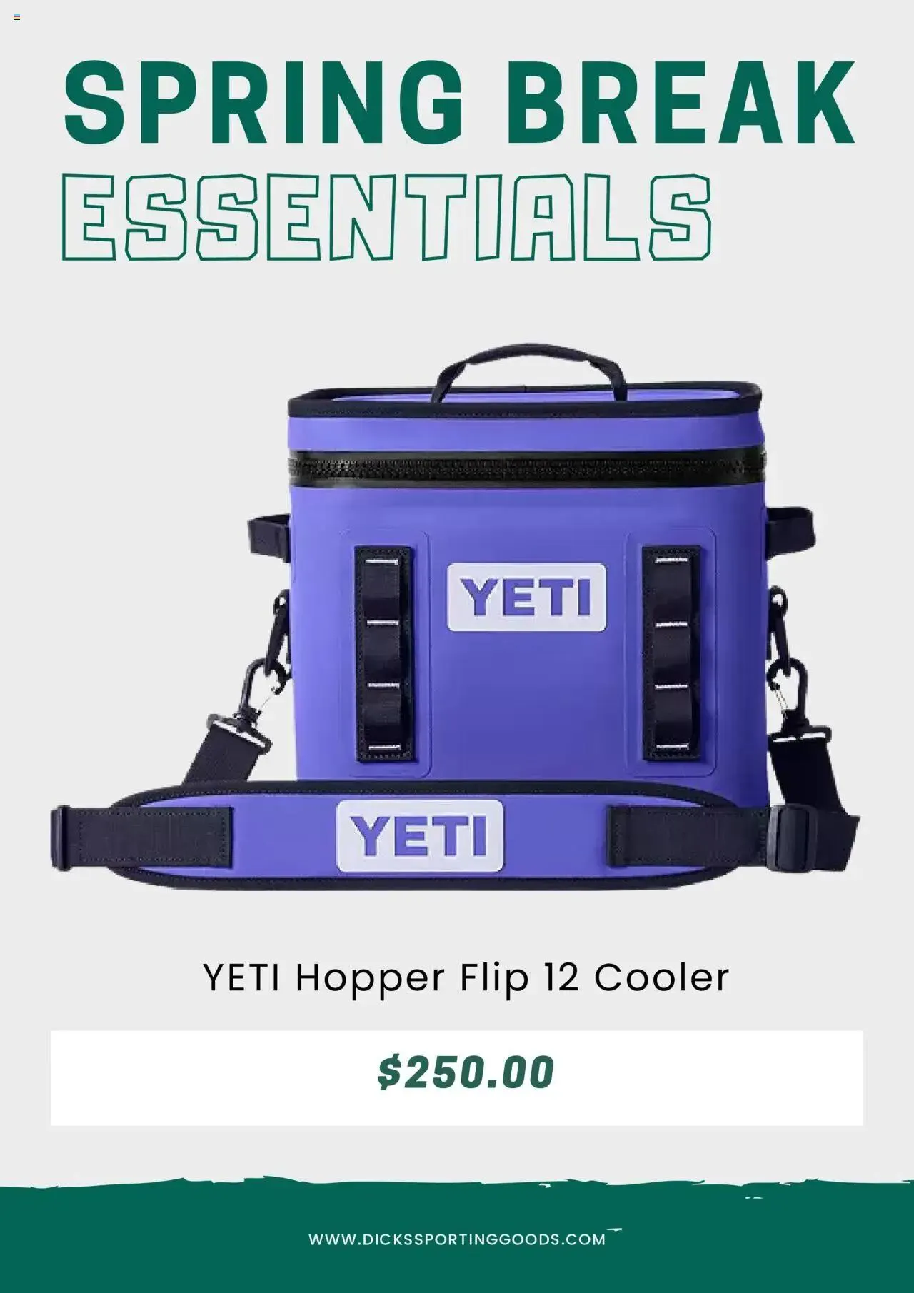 Weekly ad Dick's Sporting Goods Weekly Ad from March 20 to April 19 2025 - Page 2