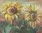 Pino Romanò, Sunflowers, Oil Painting, 1990s
