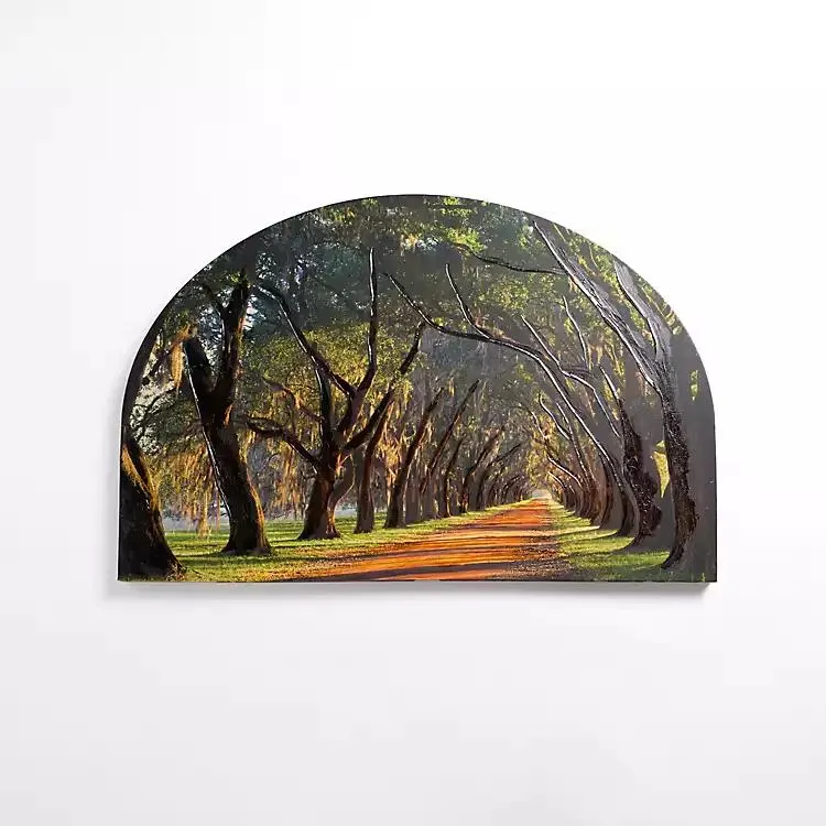 Sunset Greenway Arched Canvas Art Print