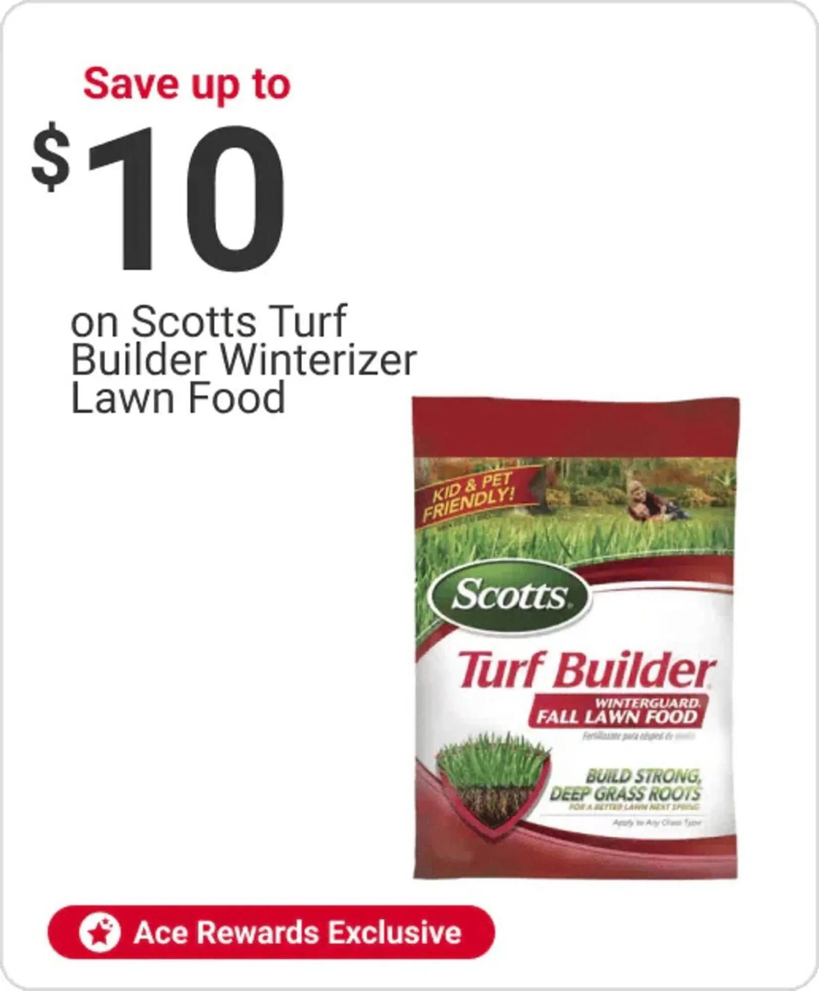 Weekly ad Ace Hardware flyer from September 30 to October 10 2025 - Page 11