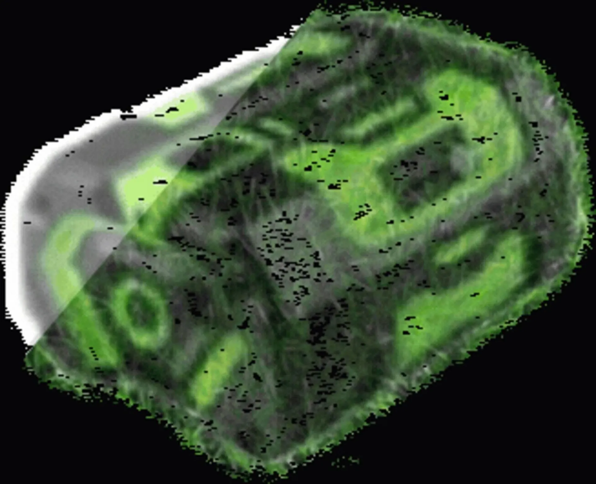 Weekly ad Ace Hardware flyer from April 16 to April 29 2026 - Page 66