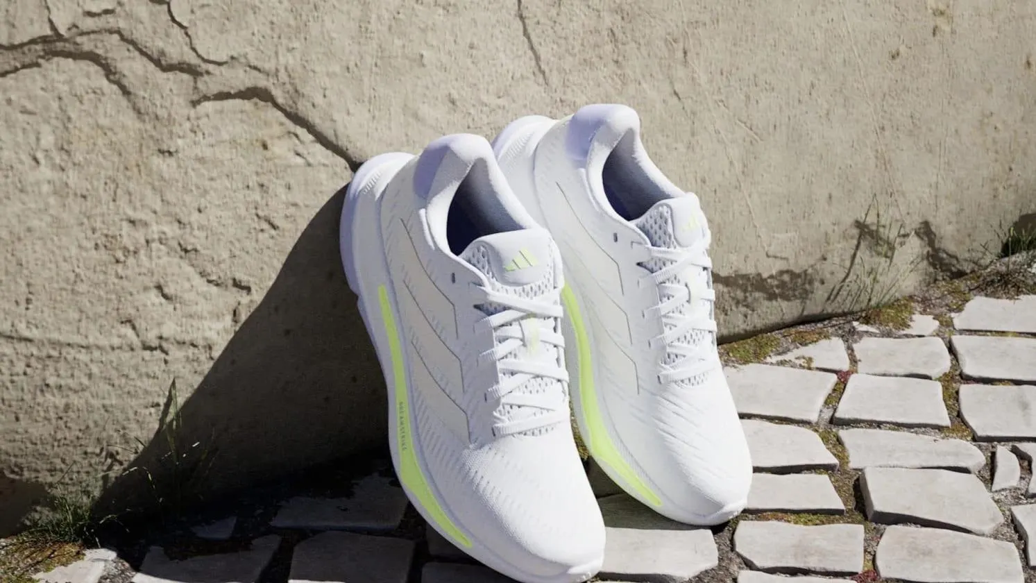 Supernova Ease Shoes