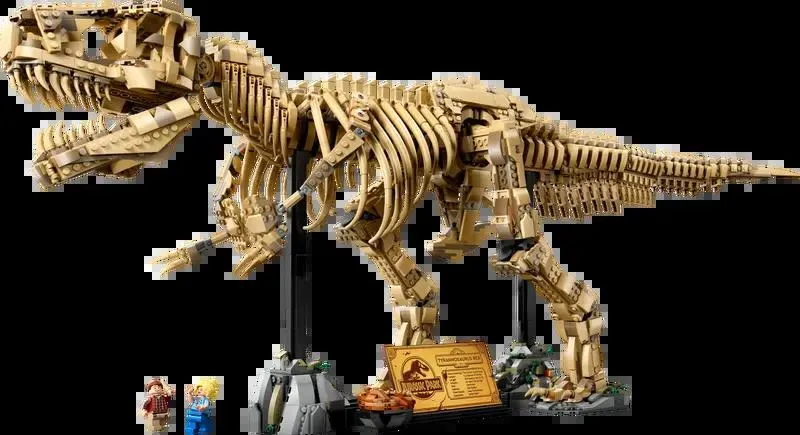 Dinosaur Fossils: Tyrannosaurus rex