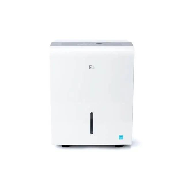 22-Pint Flat Panel Energy Star Dehumidifier