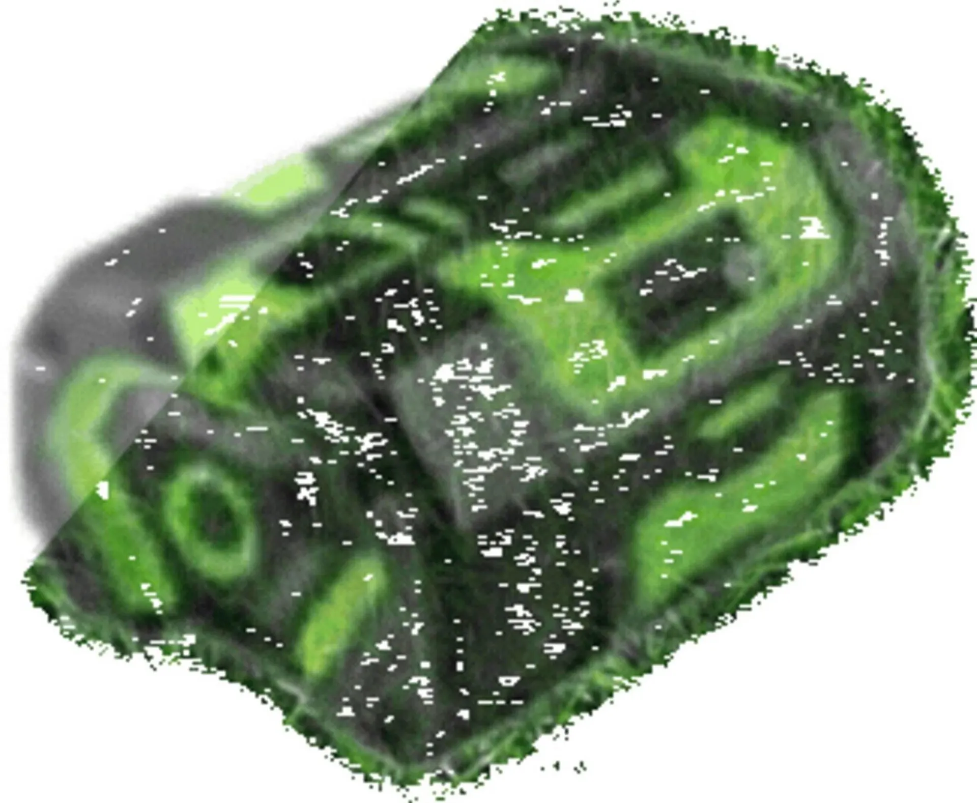 Weekly ad Ace Hardware flyer from April 16 to April 29 2026 - Page 96