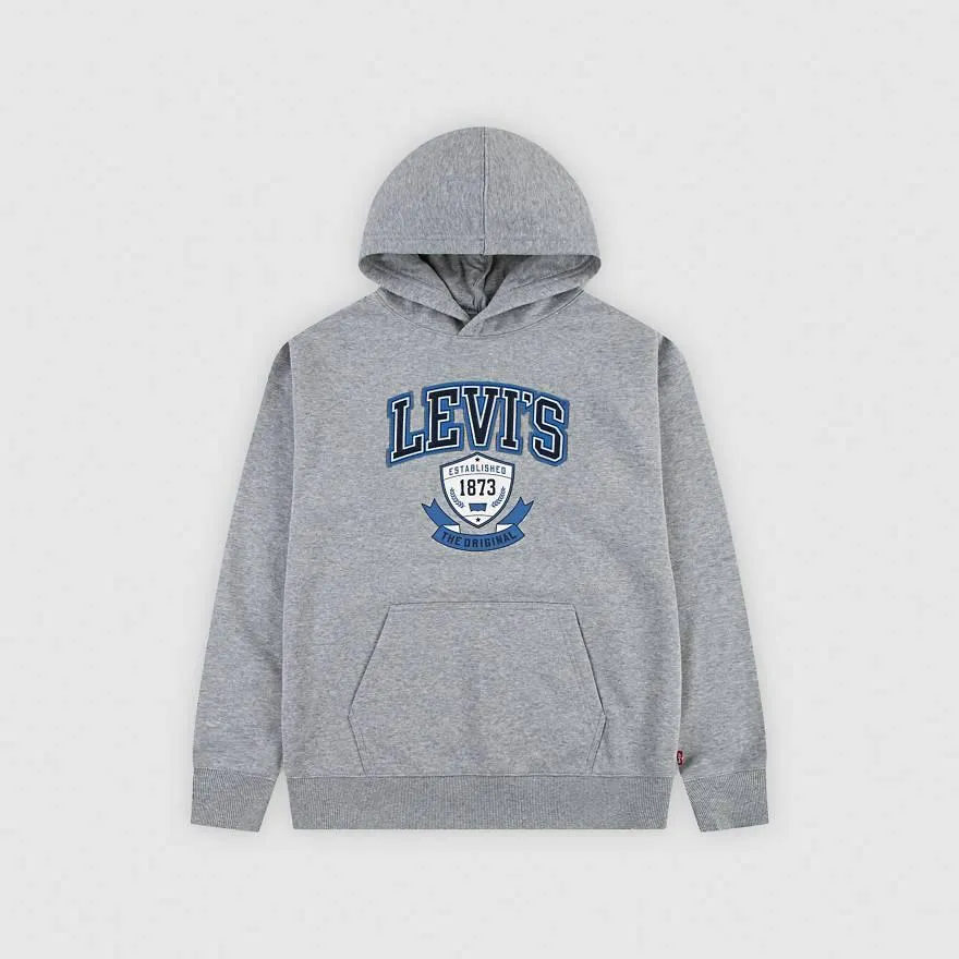 Authentic Prep Hoodie Little Boys 4-6x