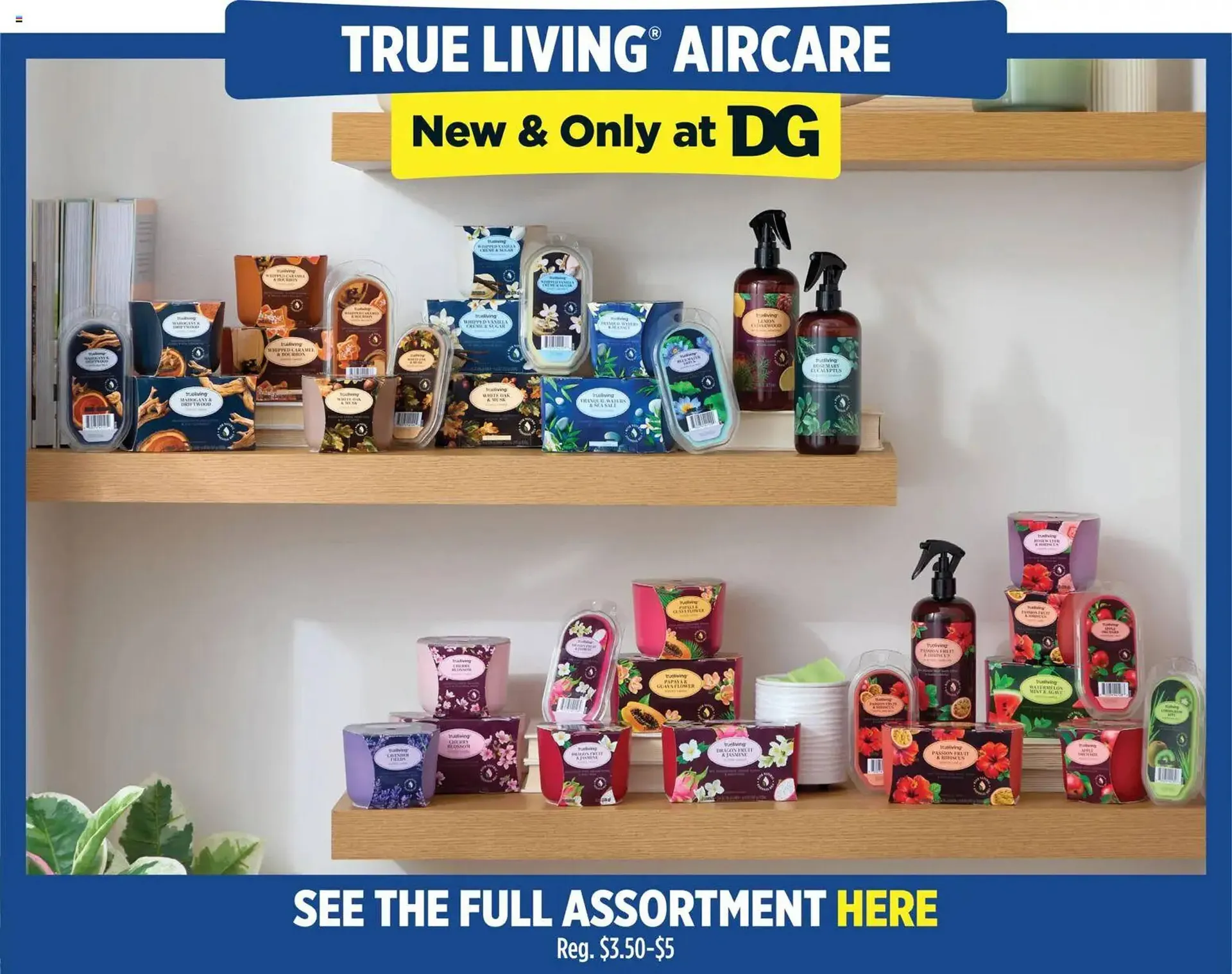 Weekly ad Dollar General weekly ad from March 8 to March 14 2026 - Page 13