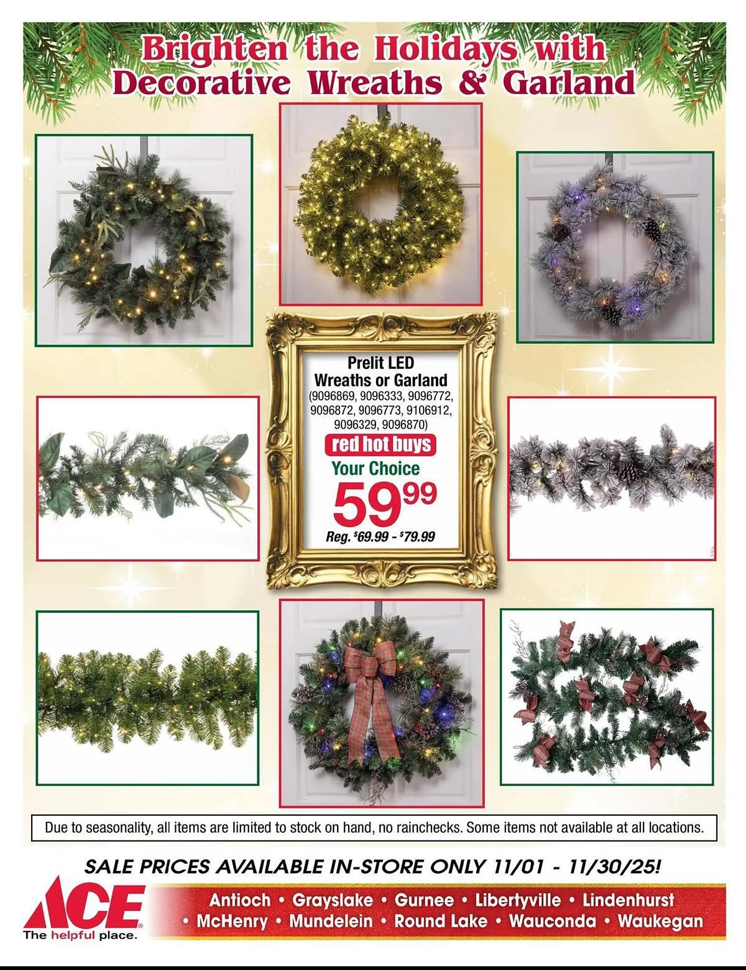 Weekly ad Ace Hardware flyer from November 1 to November 30 2025 - Page 11