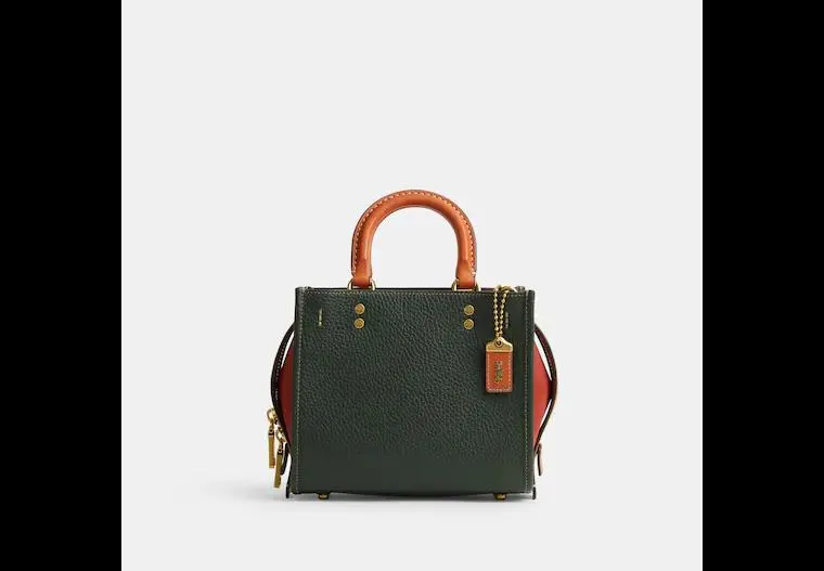 Rogue 20 In Colorblock