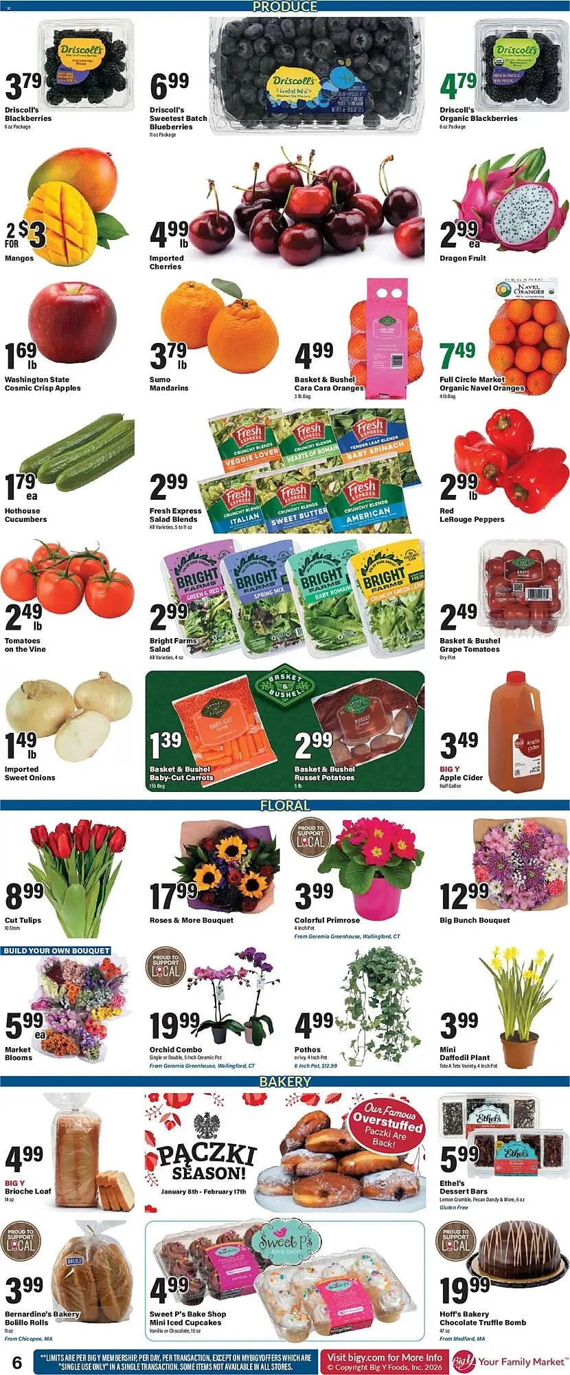 Weekly ad Big Y flyer from January 15 to January 22 2026 - Page 9
