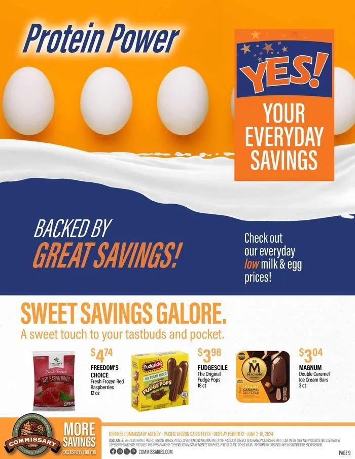 Weekly ad The Thrill Of The Grill from June 3 to June 16 2024 - Page 9