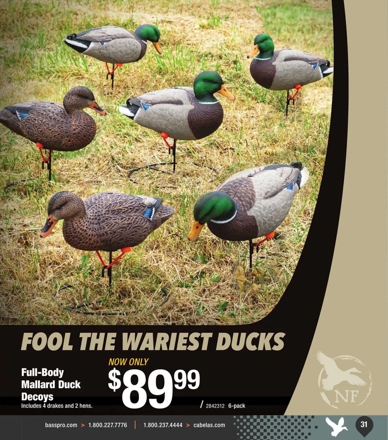 Weekly ad Bass Pro Current weekly ad from September 11 to September 25 2024 - Page 31