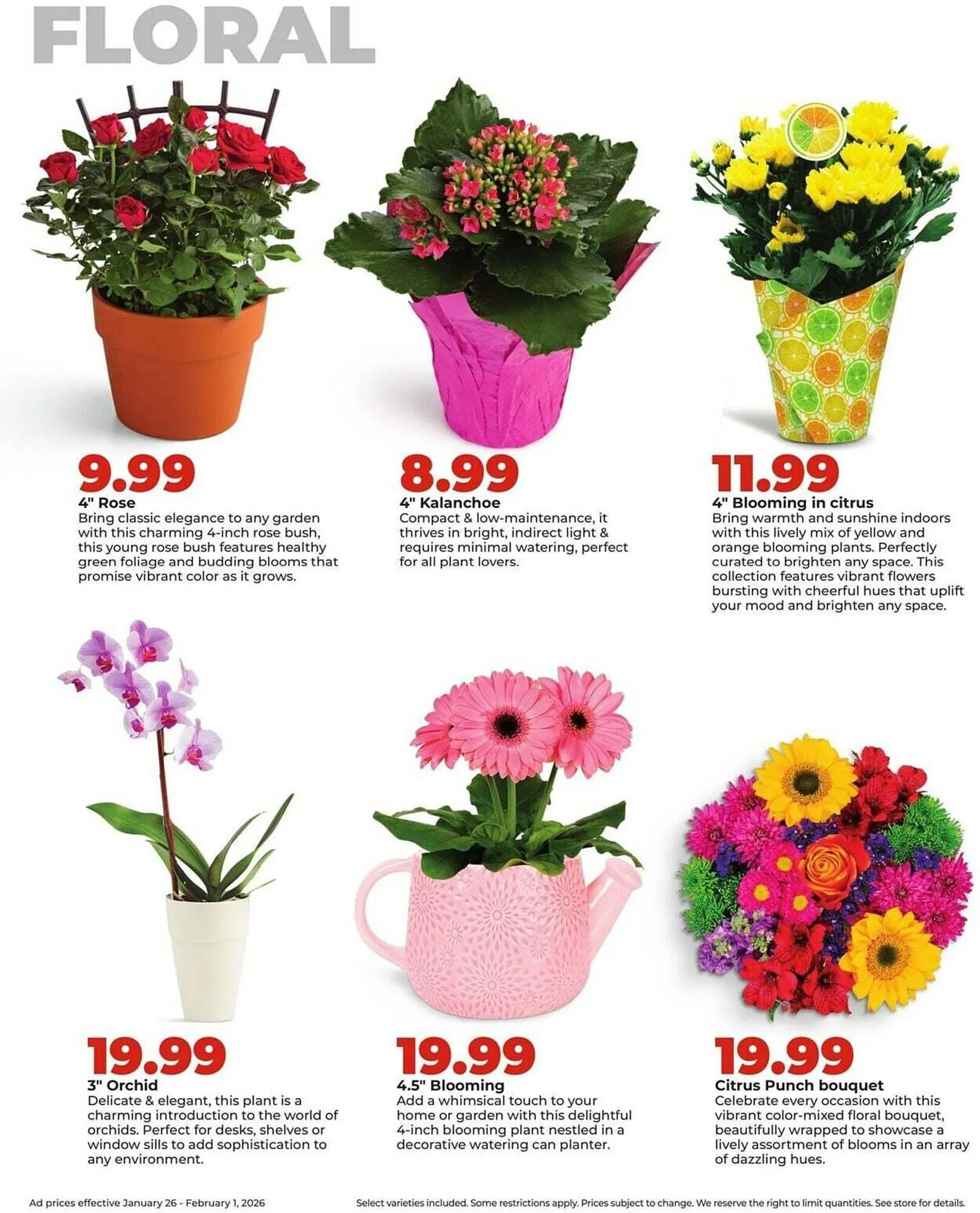 Weekly ad Hy-Vee weekly ad from January 26 to February 1 2026 - Page 34