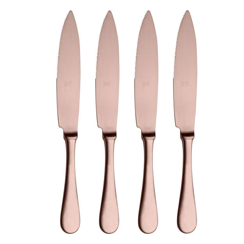4-Piece Steak Knife Set in Ice Bronze