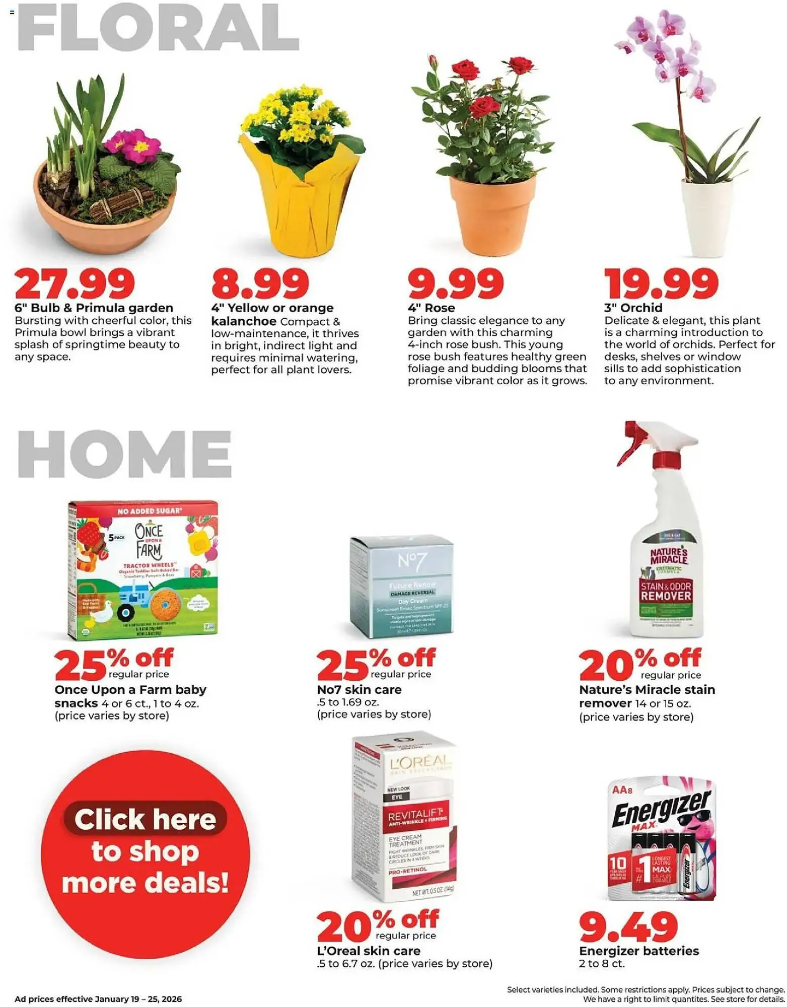 Weekly ad Hy-Vee weekly ad from January 19 to January 25 2026 - Page 33
