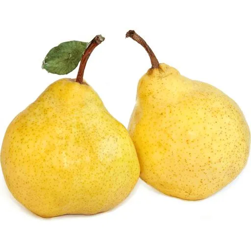 Bartlett/Williams/WBC Pears, Large