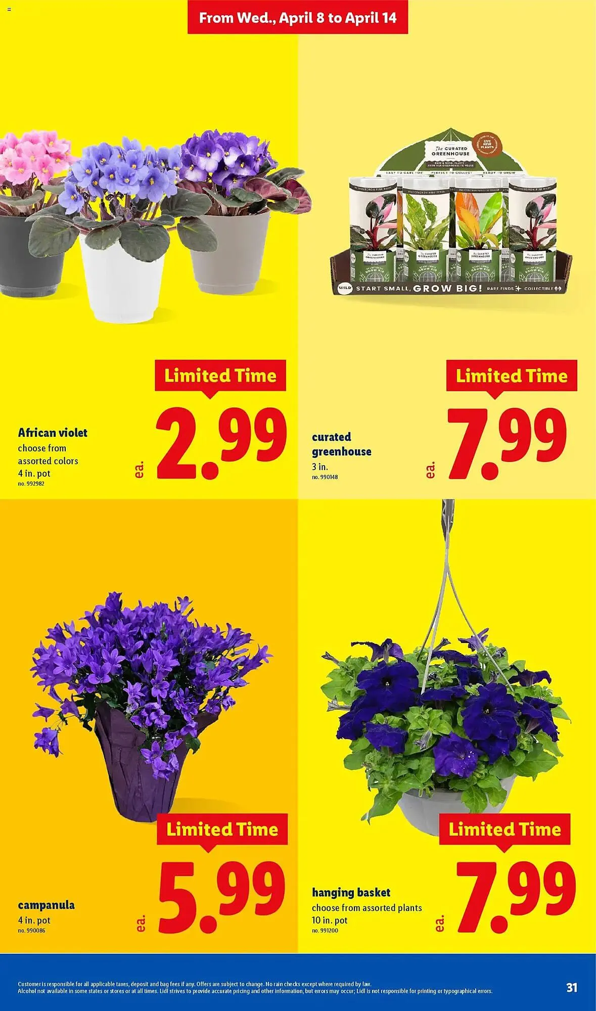 Weekly ad Lidl weekly ad from April 8 to April 14 2026 - Page 31