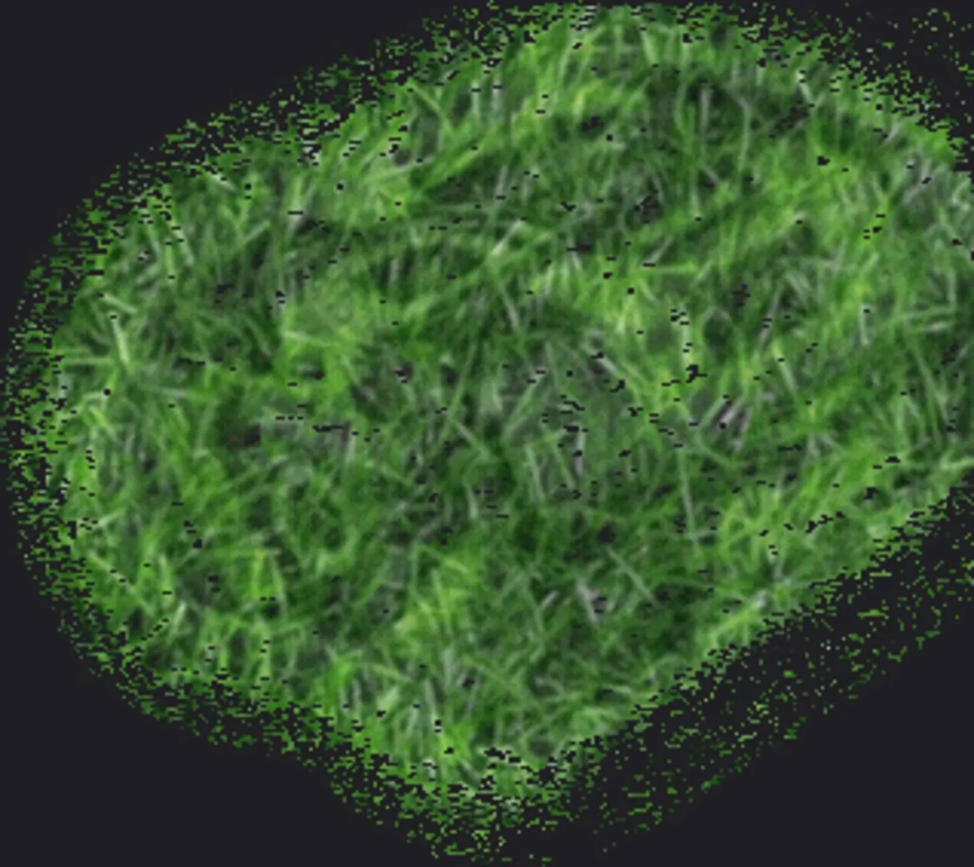 Weekly ad Ace Hardware flyer from April 16 to April 29 2026 - Page 106