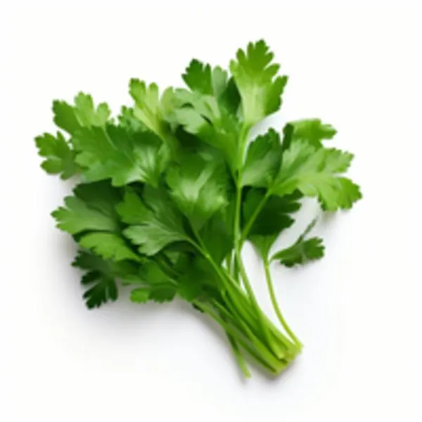 Flat Italian Parsley