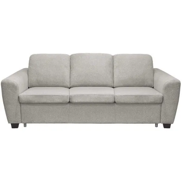 Kevin Pull Out Sleeper Sofa