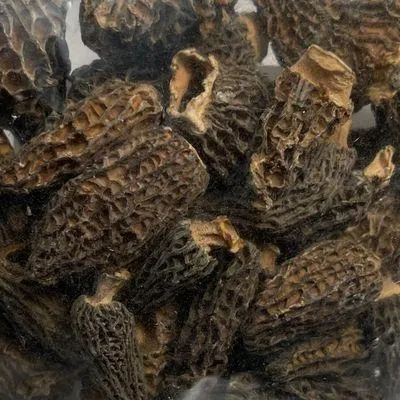 Morel Mushrooms (Packaged)