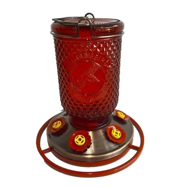 Style Selections Glass Hanging Squirrel-Resistant Hummingbird Hummingbird feeder - 32-oz